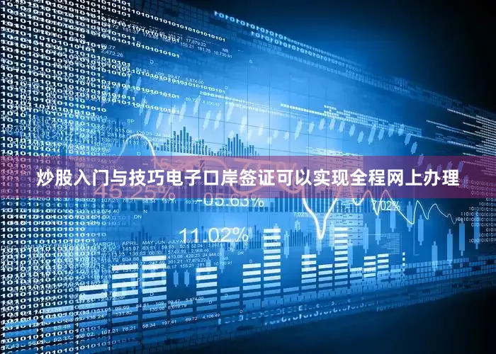 炒股入门与技巧电子口岸签证可以实现全程网上办理