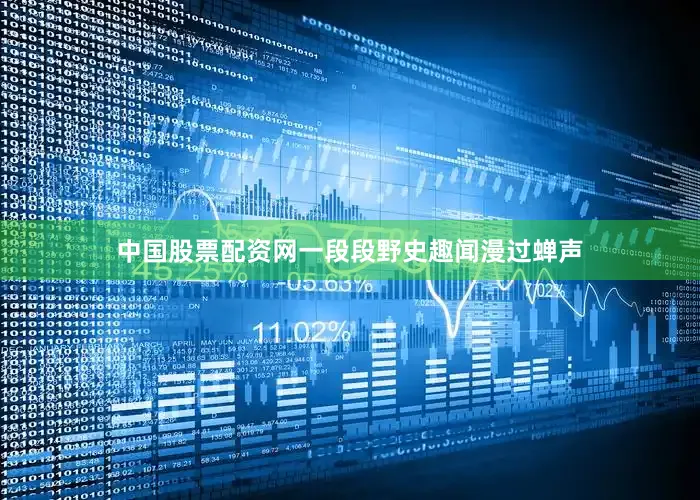 中国股票配资网一段段野史趣闻漫过蝉声