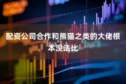 配资公司合作和熊猫之类的大佬根本没法比