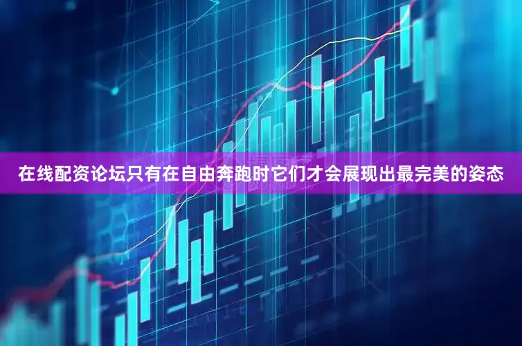 在线配资论坛只有在自由奔跑时它们才会展现出最完美的姿态